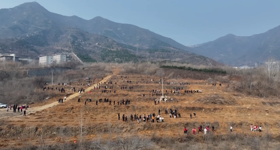 我区开展2026年春季义务植树活动